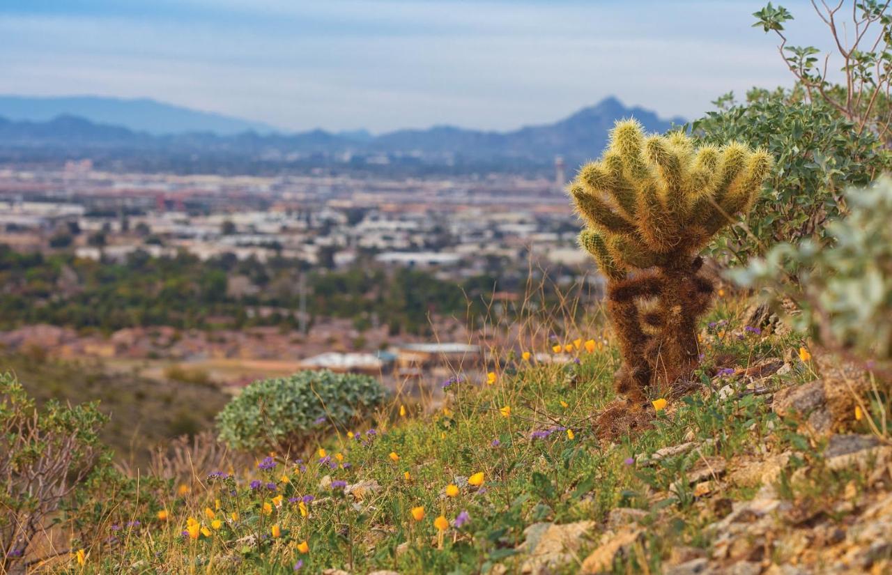 Raintree At Phoenix South Mountain Preserve المظهر الخارجي الصورة