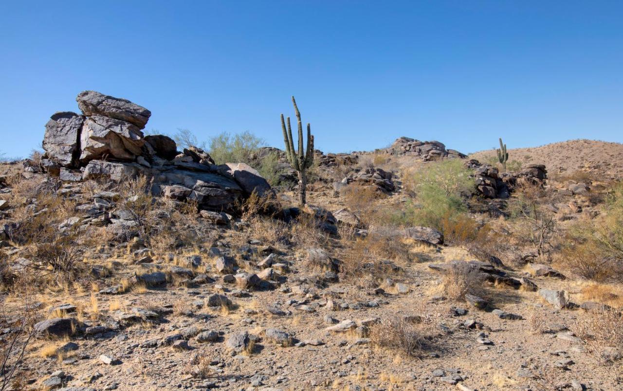Raintree At Phoenix South Mountain Preserve المظهر الخارجي الصورة