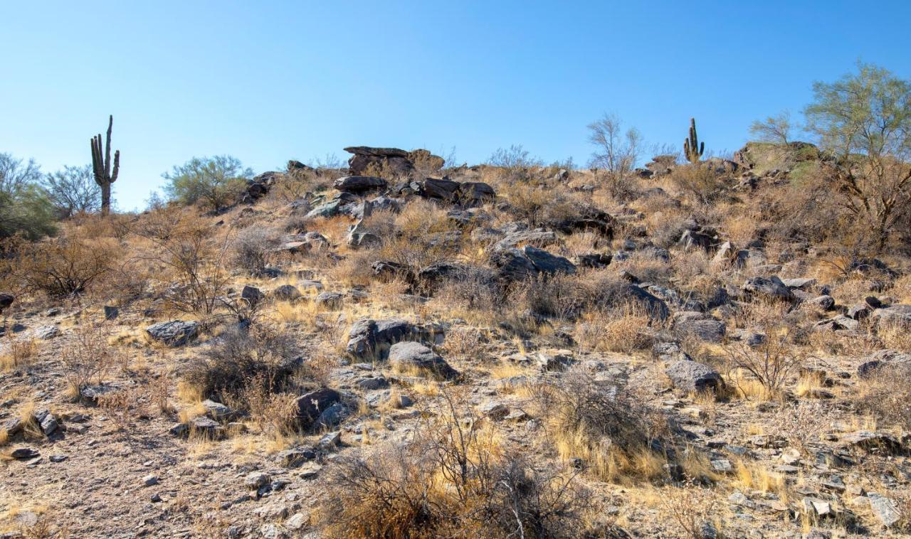 Raintree At Phoenix South Mountain Preserve المظهر الخارجي الصورة